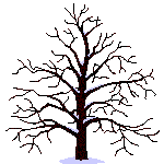 arbre04.gif (27146 bytes)